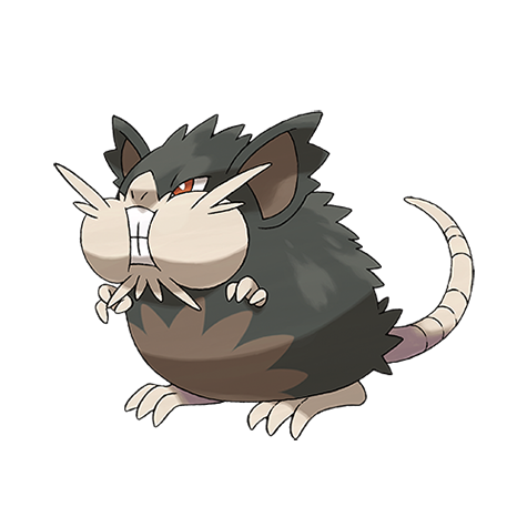 Alolan Raticate artwork
