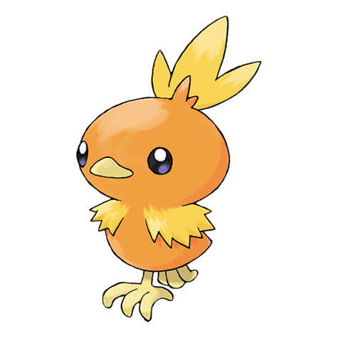Torchic artwork